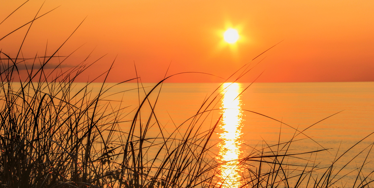 Beachgrass at Sunset