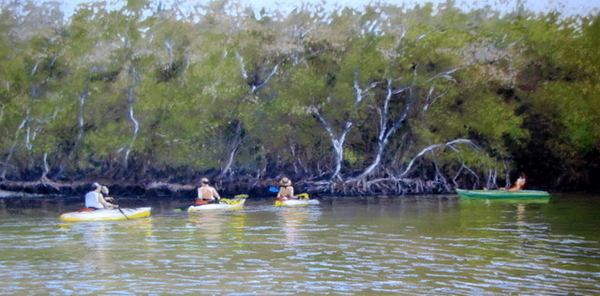 Kayakers