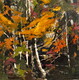 Fall Forest SOLD