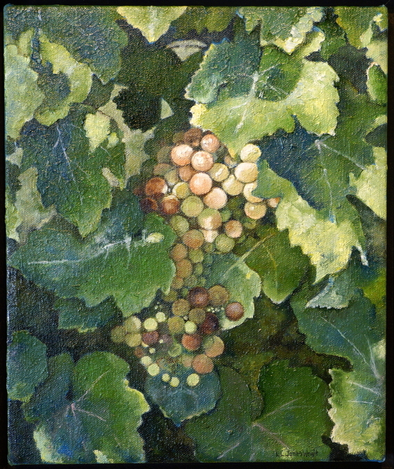 Grapes