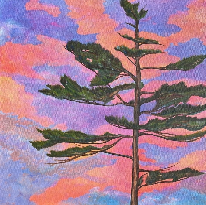 Pine at Sunset 20" x 20"