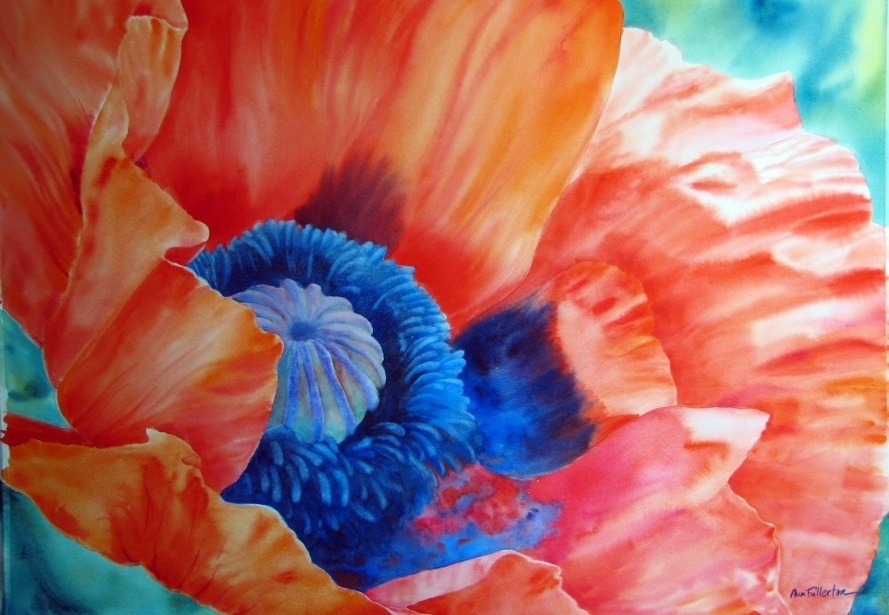 Oriental Poppy