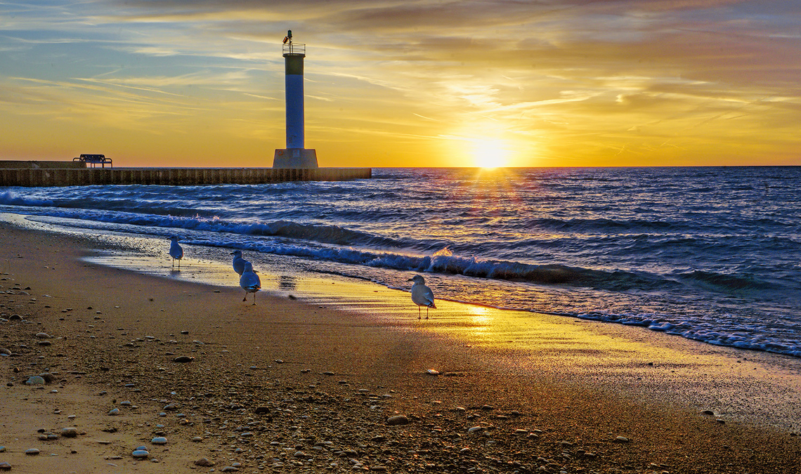 "Seagulls at Sunset"