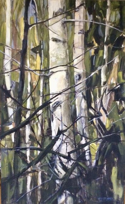 Silver Birches 30x48 acrylic RJT